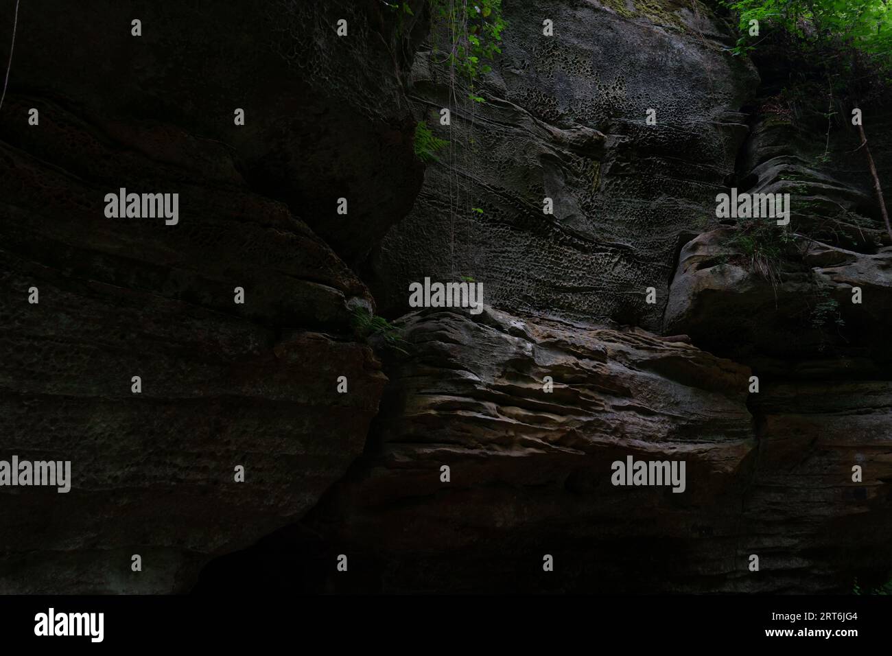 Naturskulpturengarten: Entdecken Sie einzigartige Schönheit auf den Mullerthal Trails Stockfoto