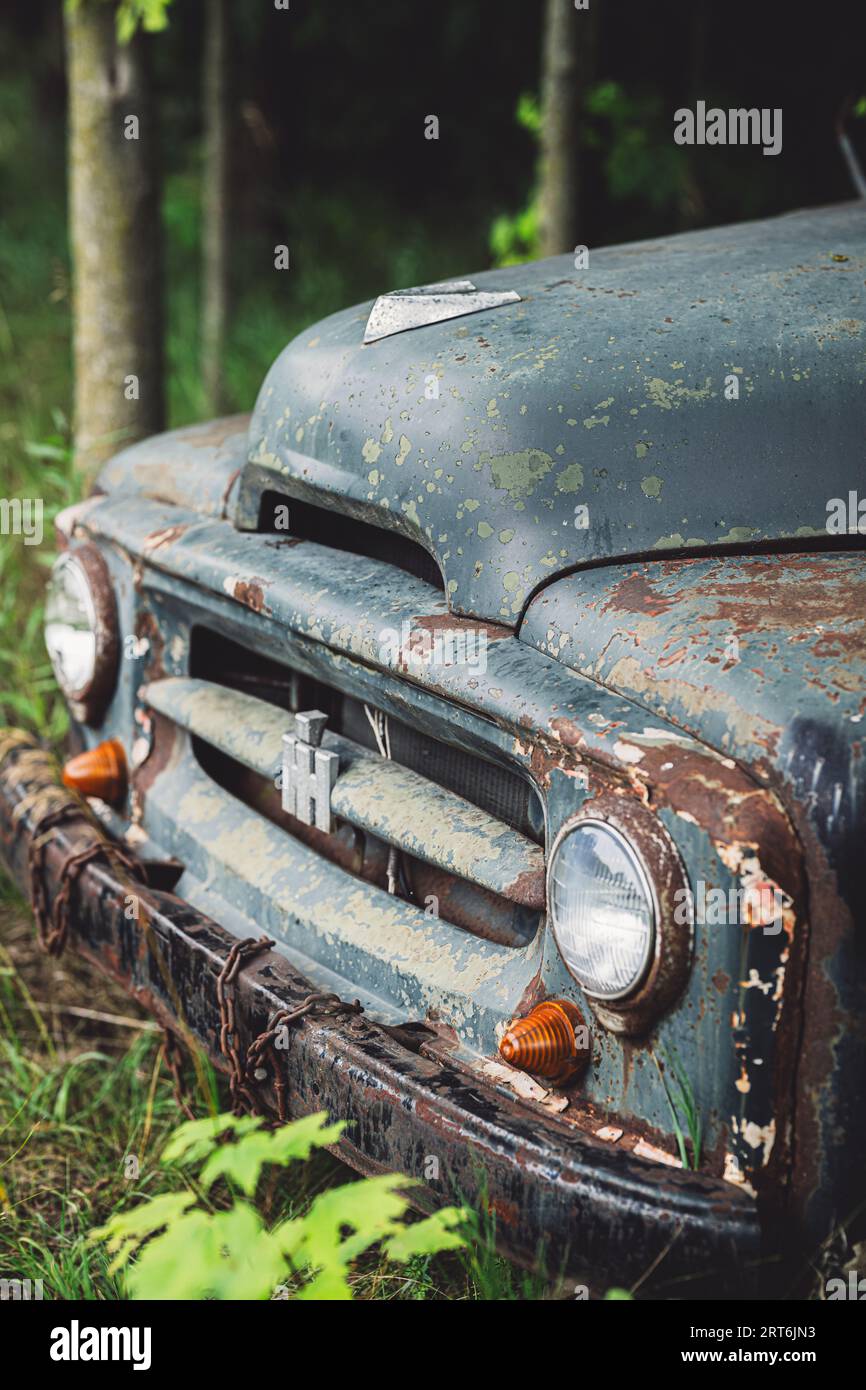 Ein Vintage Pick-up-Truck steht auf einer grasbewachsenen Wiese, umgeben von üppigen Bäumen und Laub Stockfoto