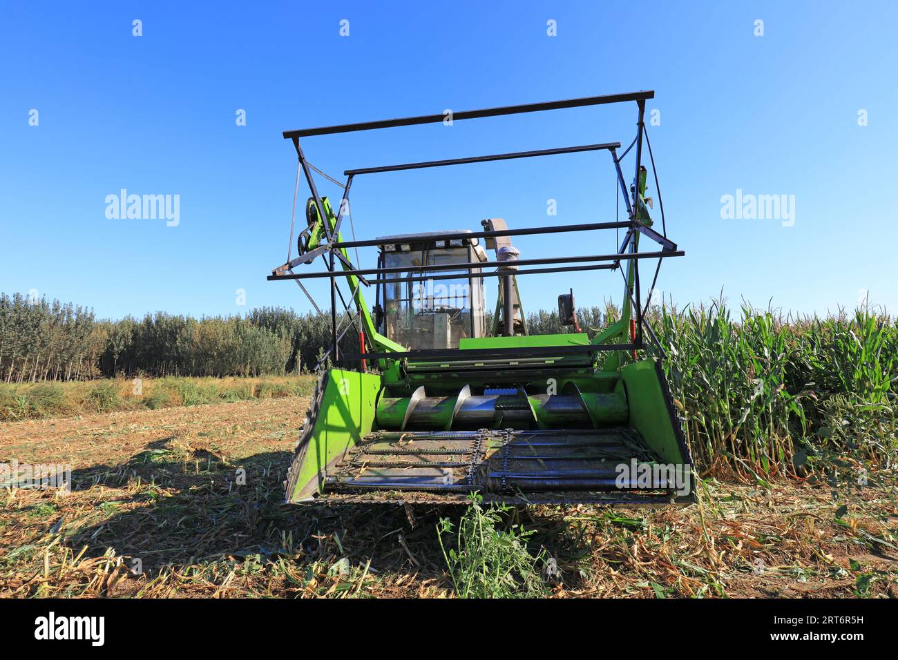 Maissilage-Erntemaschine auf Ackerland, Nordchina Plain Stockfoto