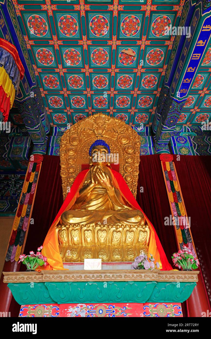 Yi County, China - 5. November 2017: Die Buddha-Statue wird in der Mahavira-Halle in einem Tempel im Yi County, Provinz Hebei, China, verehrt Stockfoto