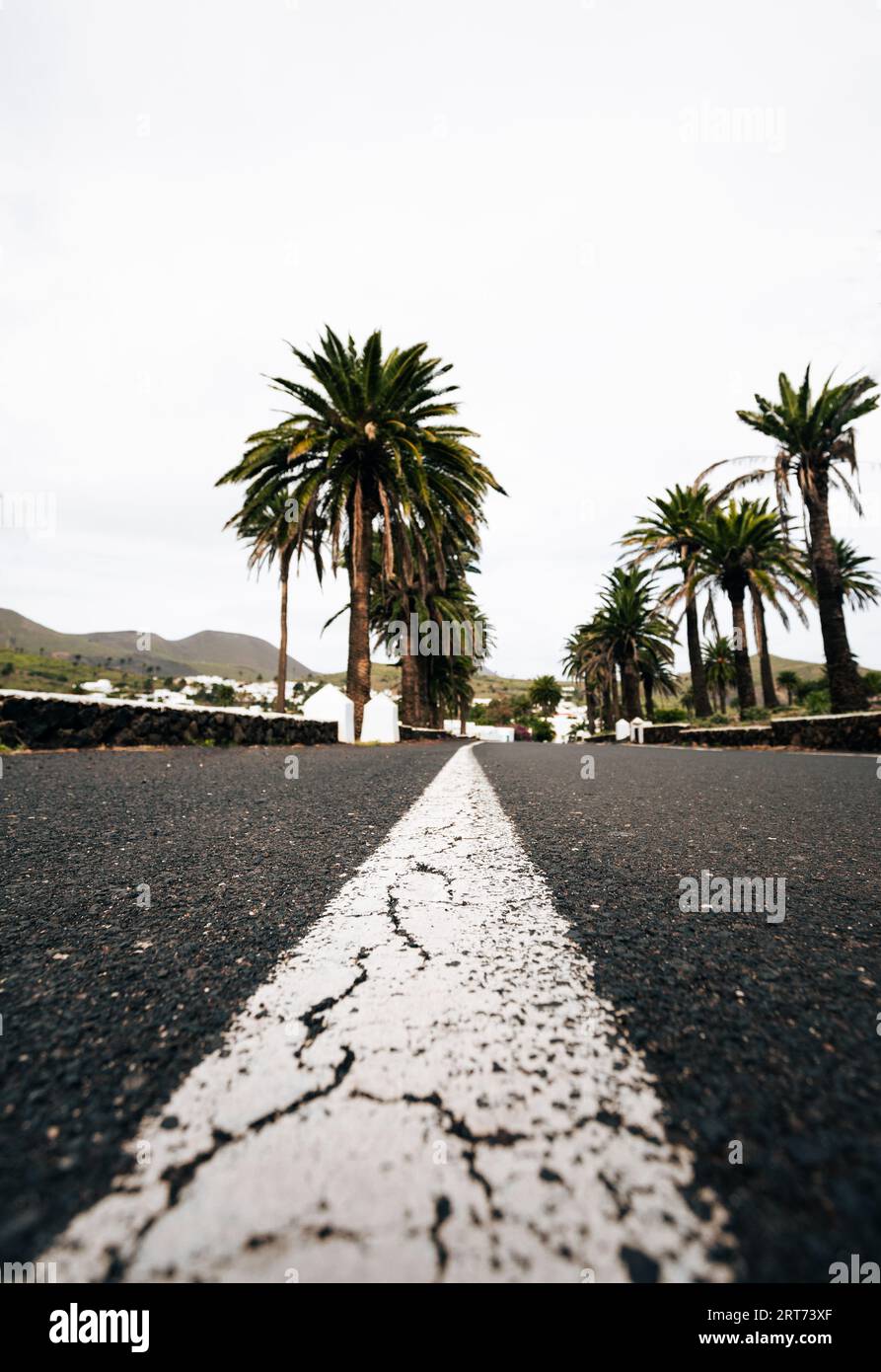 Vertikales Bild der Straße mit Palmen an den Seiten am stimmungsvollen Tag auf Lanzarote (Kanarische Inseln). Straße, die in die Stadt führt - Weitwinkelschuss. Stockfoto