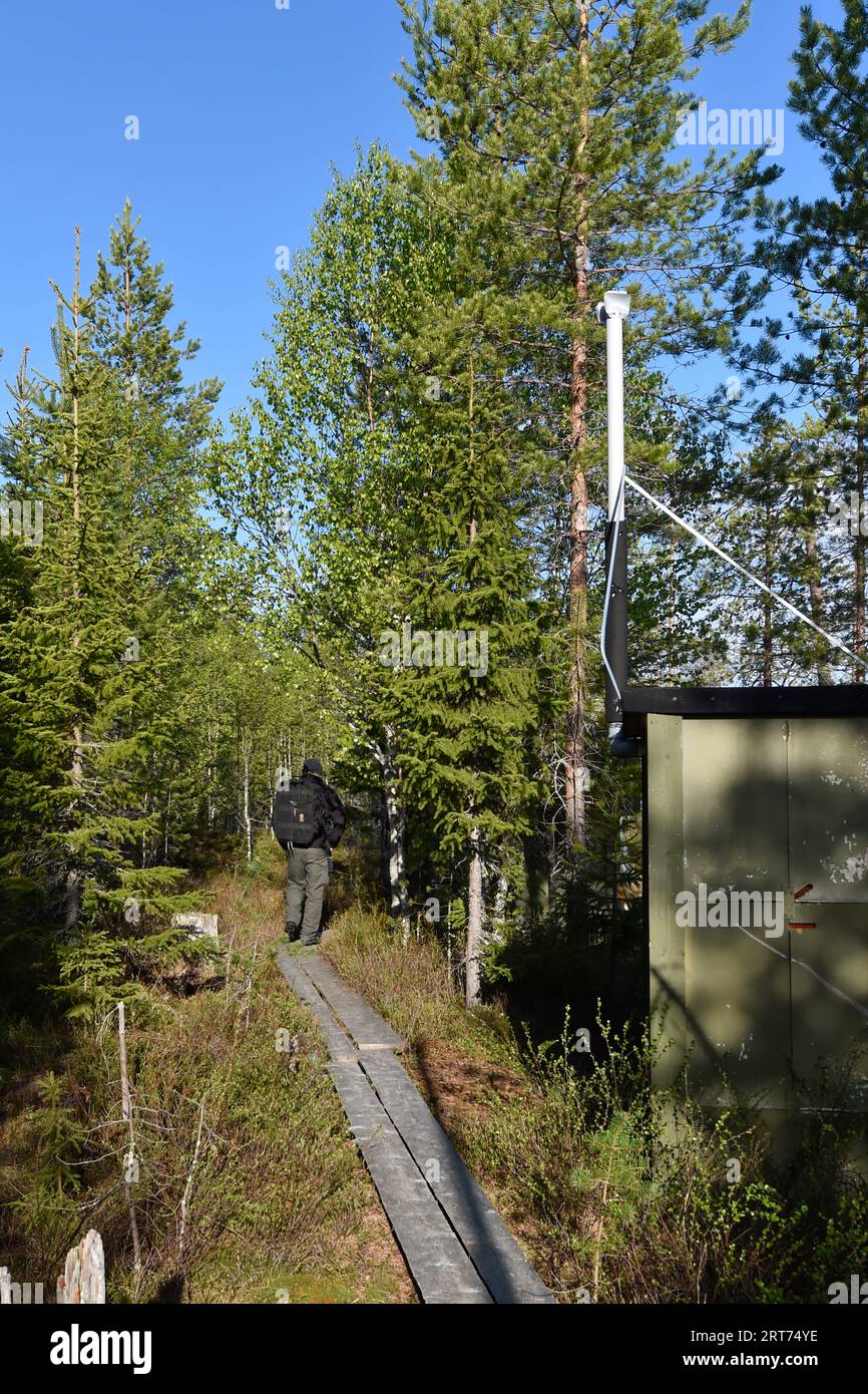 Pfad zum Versteck für Bärenfotografie im finnischen Taiga-Wald Stockfoto