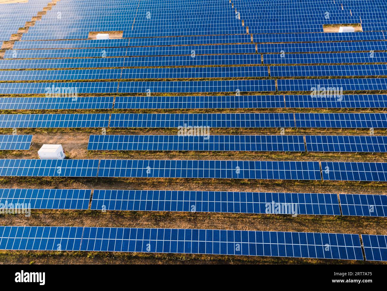 Horizontales Luftbild - Draufsicht auf die riesige Solaranlage auf dem Feld in Europa - mit wunderschönem Sonnenlicht bei Sonnenuntergang. Stockfoto