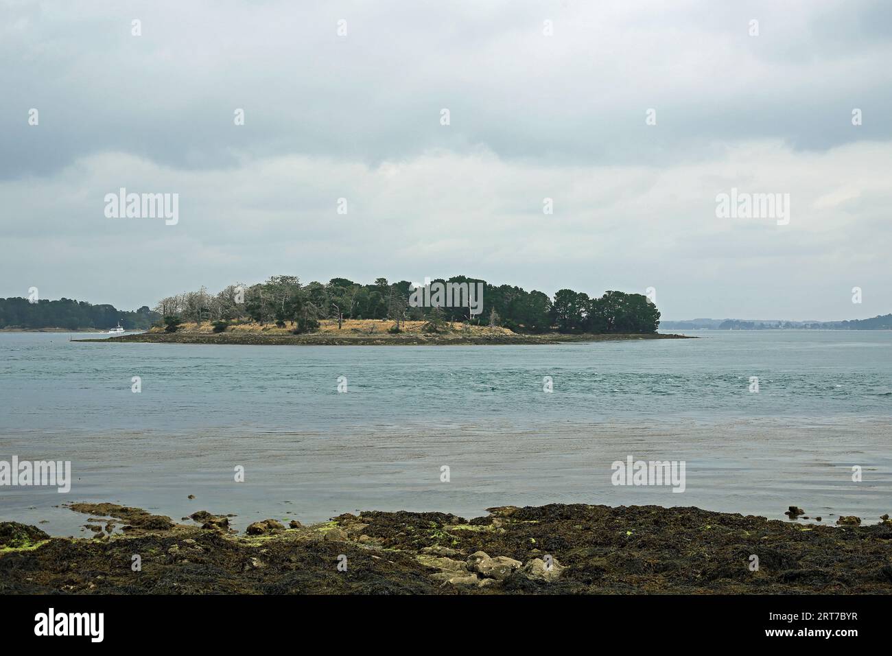 Blick auf die Insel Ile de la Jument von Pointe de la Palisse, Arzon, Morbihan, Bretagne, Frankreich Stockfoto