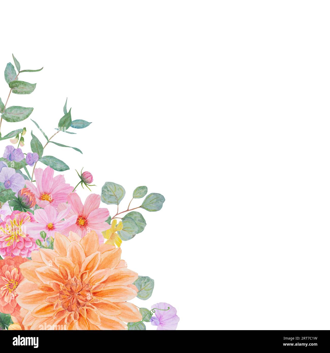 Aquarellfarbener botanischer Rahmen mit Sommer- und Herbstblumen: dahlia, Zinnia, lathyrus, gillyflower, kapuzinerkresse, Eukalyptus. Gut für Hochzeiten Stockfoto