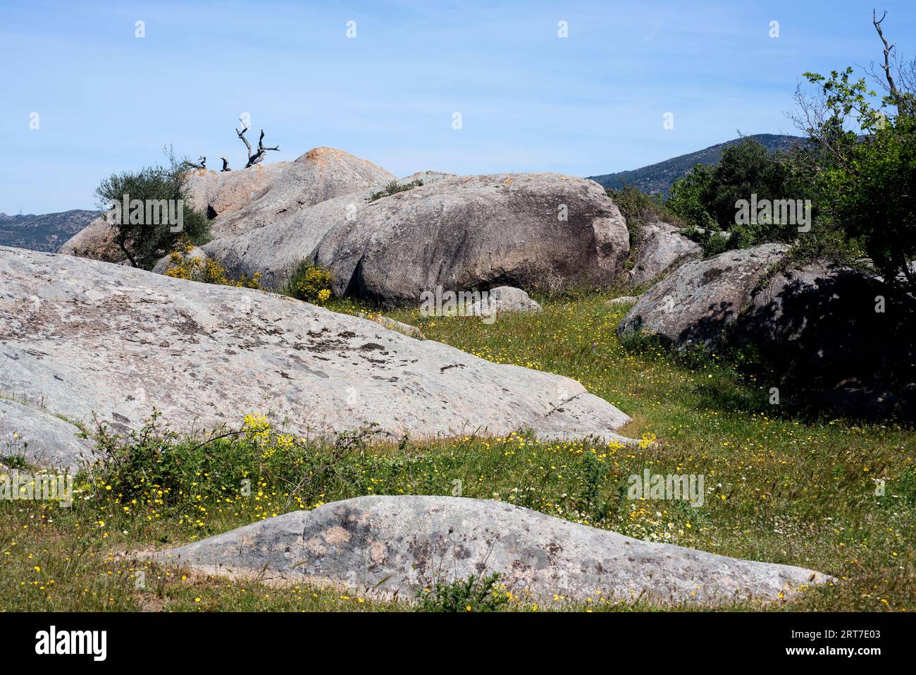 Granodiorit ist ein intrusives, granitähnliches Gestein. Dieses Foto wurde in Vilaut, Provinz Girona, Katalonien, Spanien aufgenommen. Stockfoto