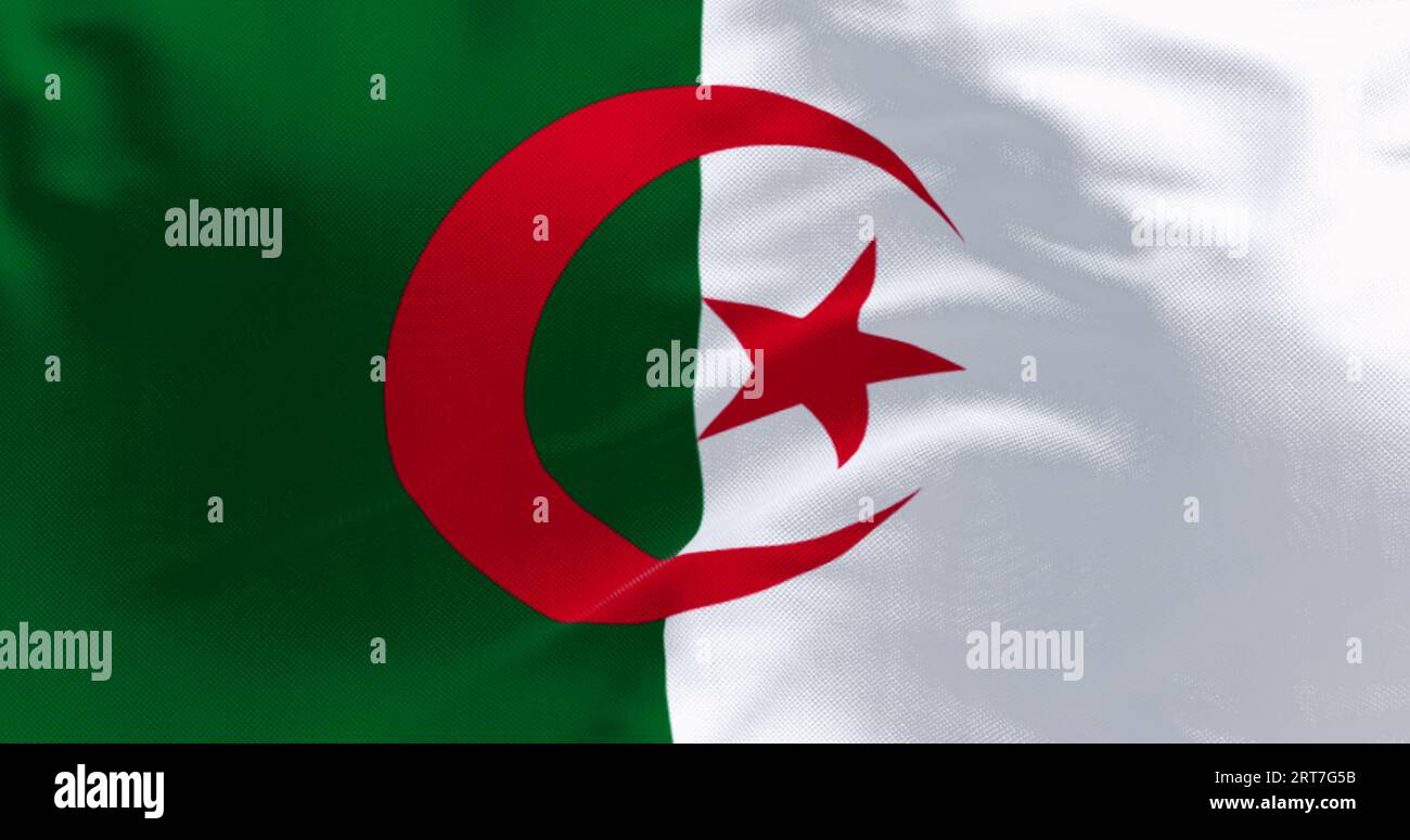 Nahaufnahme der Flagge Algeriens, die an einem klaren Tag winkt. Zwei vertikale Balken, grün und weiß, mit einem roten Stern und einem Halbmond in der Mitte. 3D illustr Stockfoto