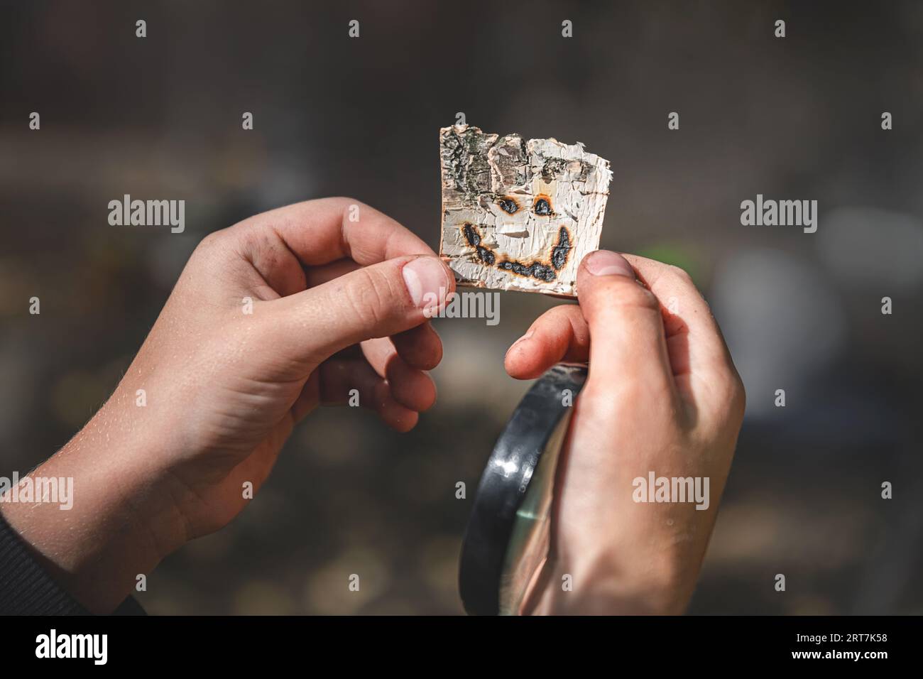 Smiley-Gesicht verbrannt auf Birkenrinde. Konzept Lächeln, Freude, glücklich Stockfoto