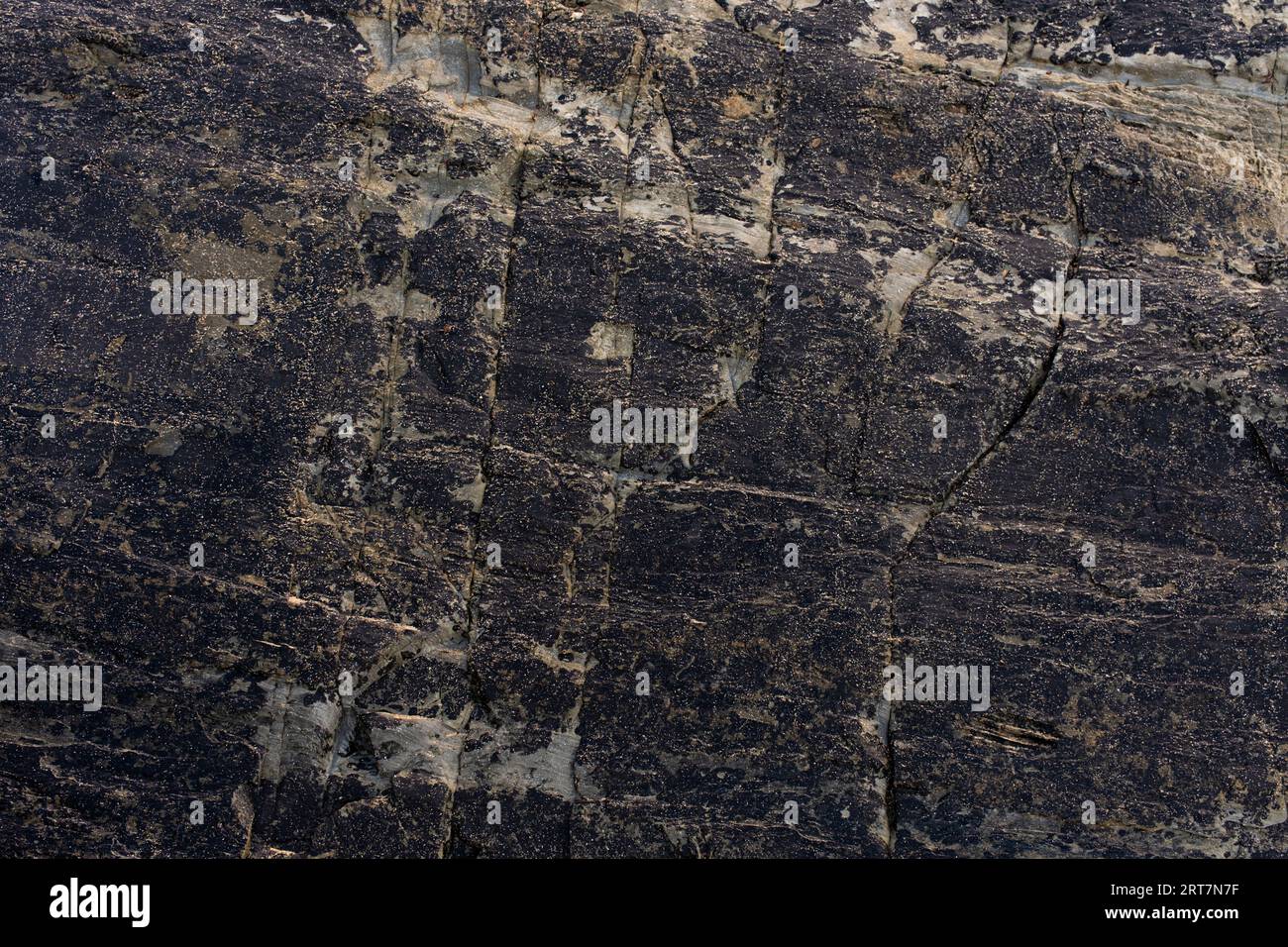 Rock an einem Strand mit viel Textur und Kontrast von dunklen bläulichen Tönen und hellen Flecken. Hintergrund- und Vorlagenkonzept. Stockfoto