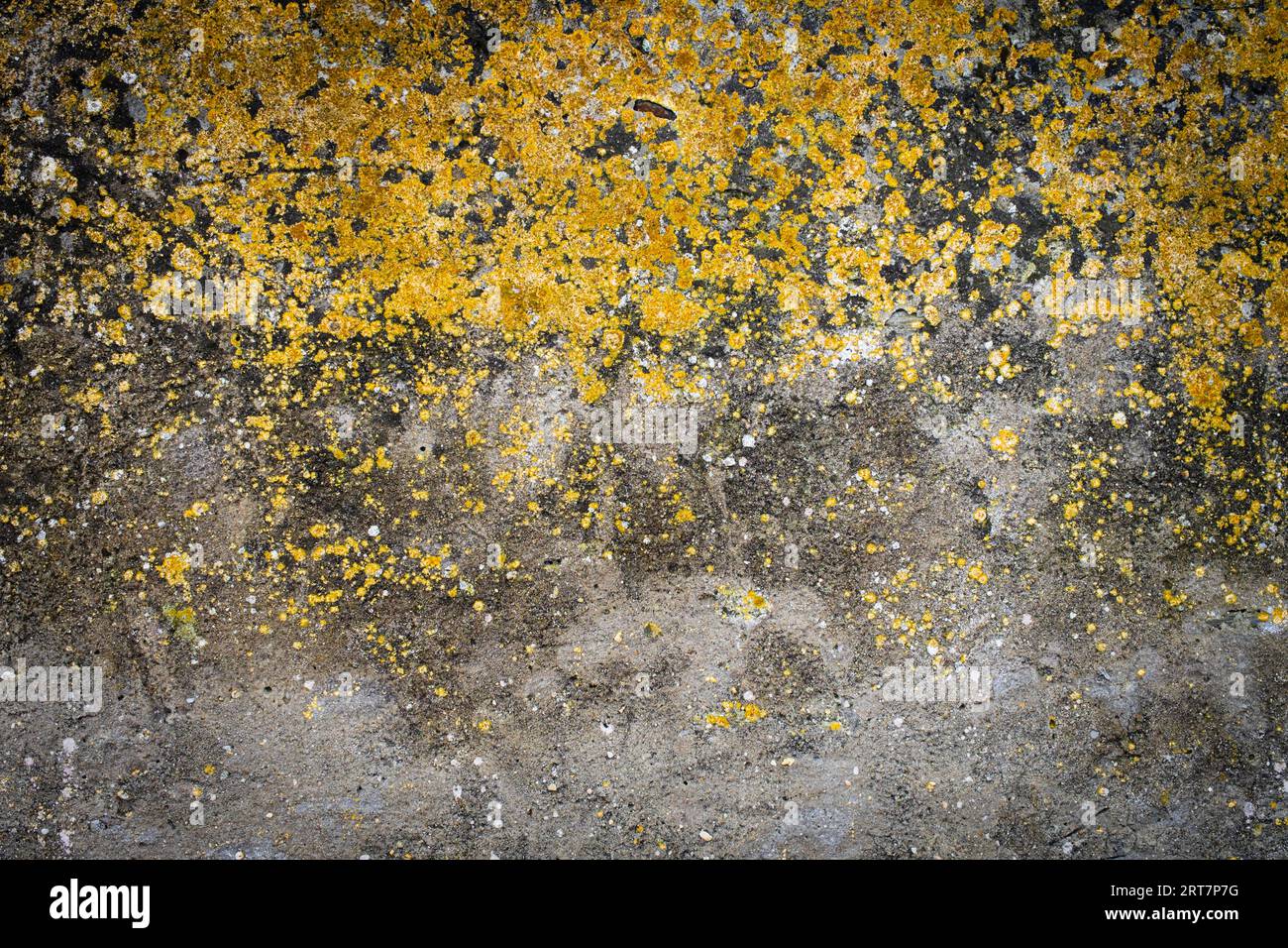 Alte Wand mit viel Textur und Flächen mit Flechten und Schimmel. Konzepthintergründe und Ressourcen mit Kopierbereich. Stockfoto Alte Wand mit viel Textur und Flächen mit Flechten und Schimmel. Konzepthintergründe und Ressourcen mit Kopierbereich. Stockfoto