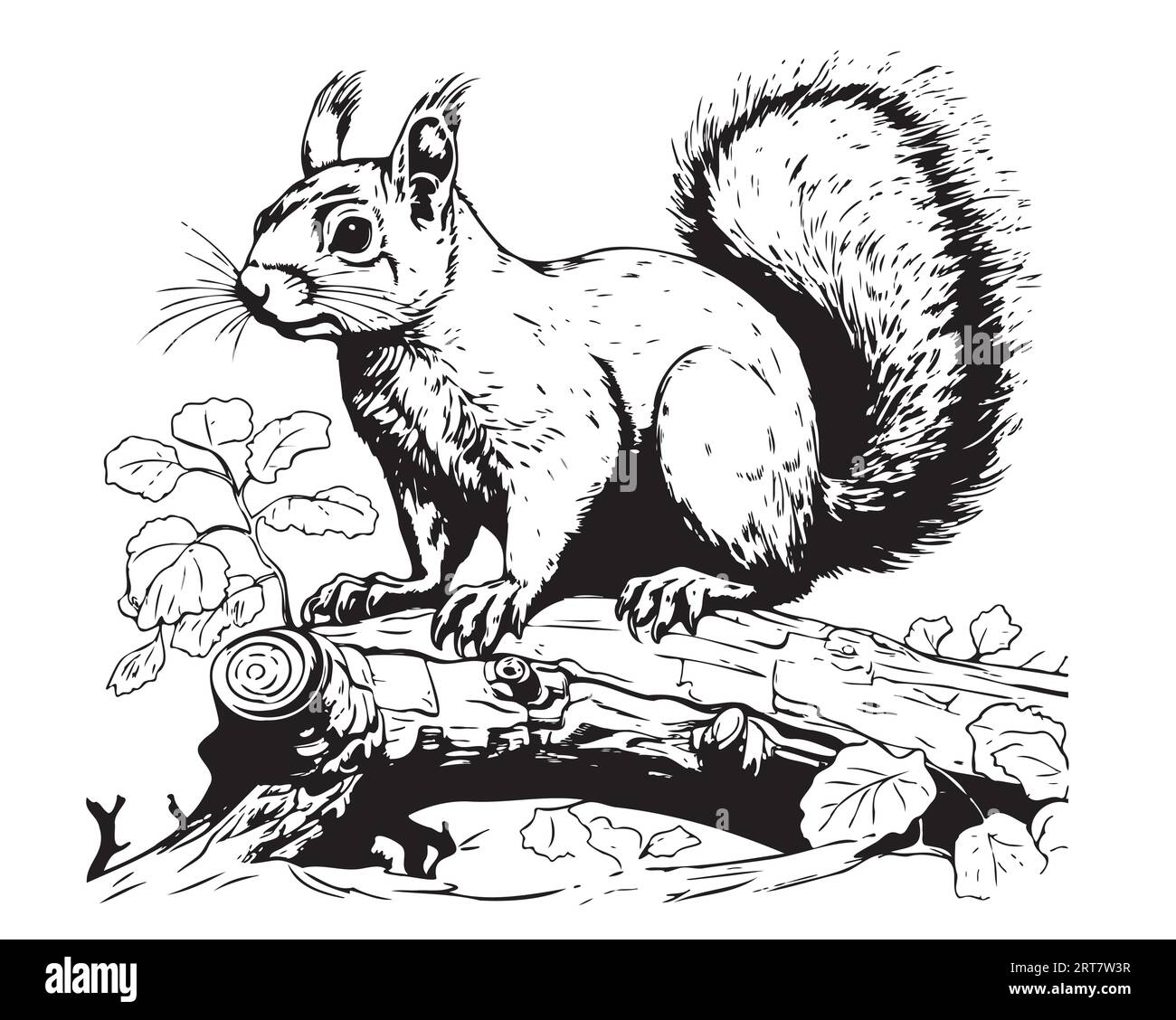 Eichhörnchen auf einer Baumskizze im handgemalten Grafikstil Vektor niedliche wilde Tiere Stock Vektor