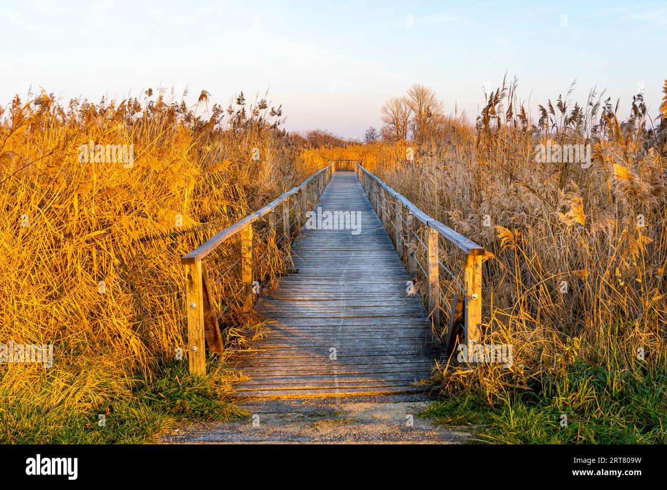 Winterrohr mit Holzbrücke bei Sonnenuntergang in gelblichem Sonnenschein Stockfoto