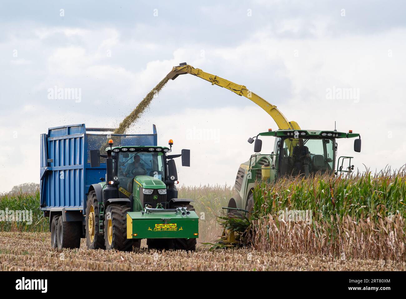 Eton, Windsor, Berkshire, Vereinigtes Königreich. September 2023. Die Bauern arbeiteten heute sehr hart in Eton, Windsor, Berkshire, während sie riesige Maisfelder ernteten, die als Futtermittel verwendet werden sollten. Die hohen Rekordtemperaturen in diesem Monat sind auf Veränderungen zurückzuführen, und Gewitter werden für morgen prognostiziert, die die Landwirte zusätzlich unter Druck setzen, ihre Ernte zu erledigen. Quelle: Maureen McLean/Alamy Live News Stockfoto