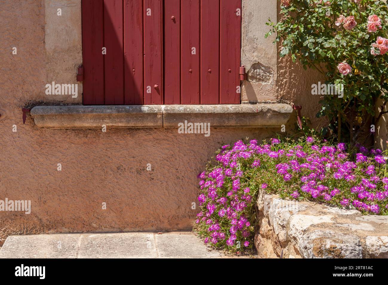 Fenster mit roten geschlossenen Fensterläden und Blumen, Mittagsblumen, Rosebush, Roussillon, Luberon, Departement Vaucluse, Provence-Alpes-Cote dAzur, Frankreich Stockfoto