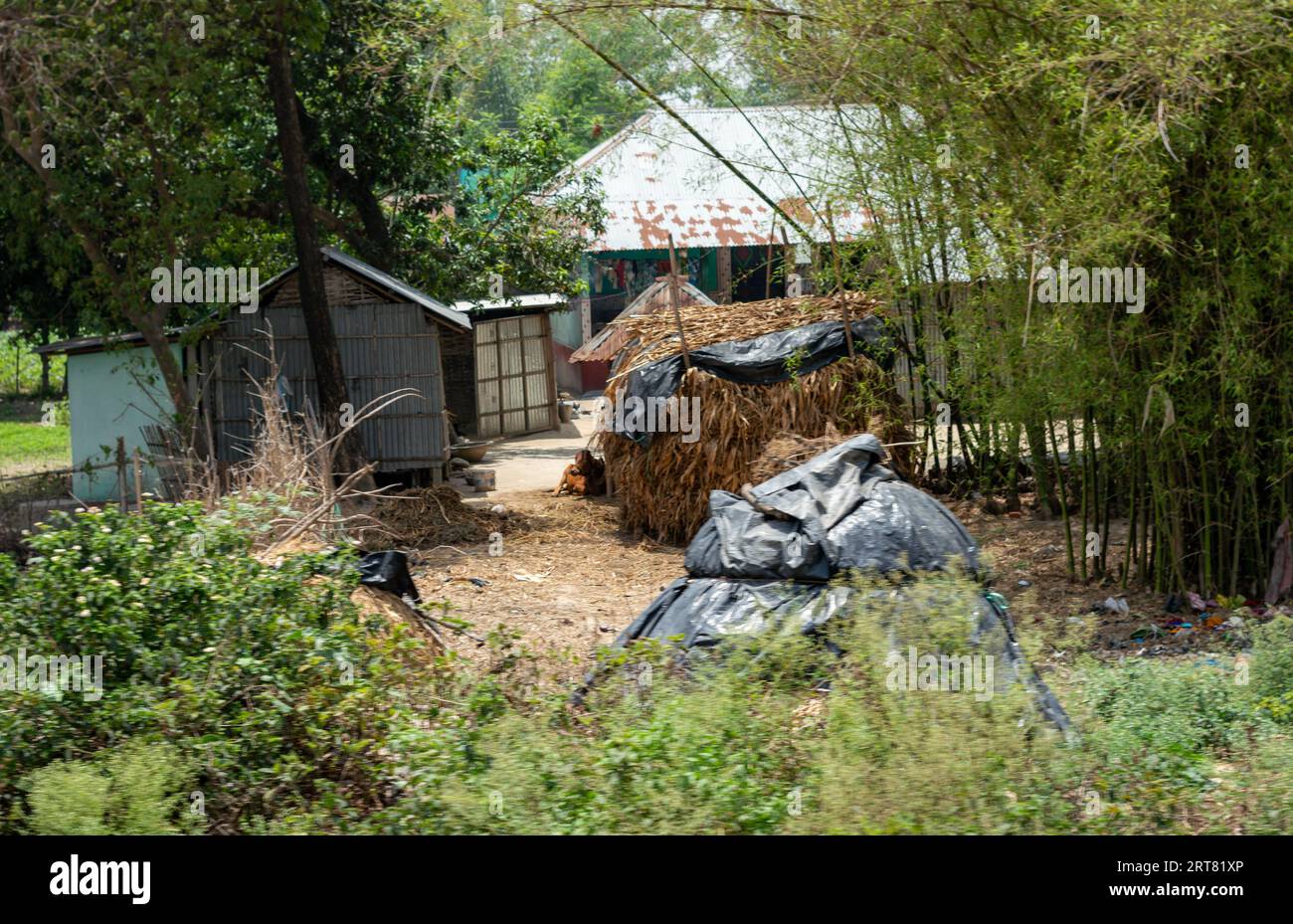 Landwirtschaftlicher Stroh versammelte sich vor dem Haus eines ländlichen Dorfes Stockfoto