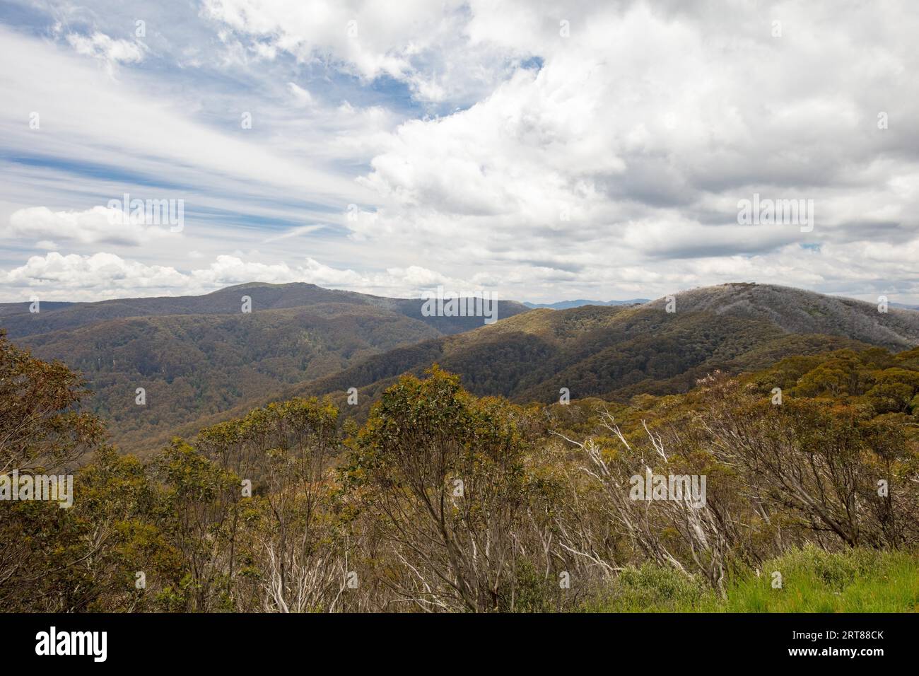 Mount Buller Landschaft über Mt Stirling und Corn Hill an einem heißen Sommertag in Victoria, Australien Stockfoto