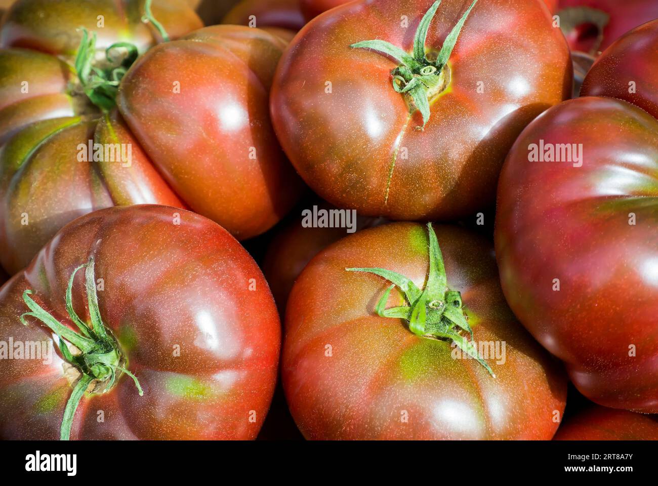 Erbstücke Tomaten - Nahaufnahme Stockfoto