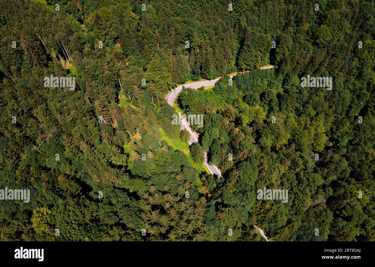 Drohnenschuss, Straße führt durch ein Waldgebiet, Oberaschau, Salzkammergut, Oberösterreich, Österreich Stockfoto