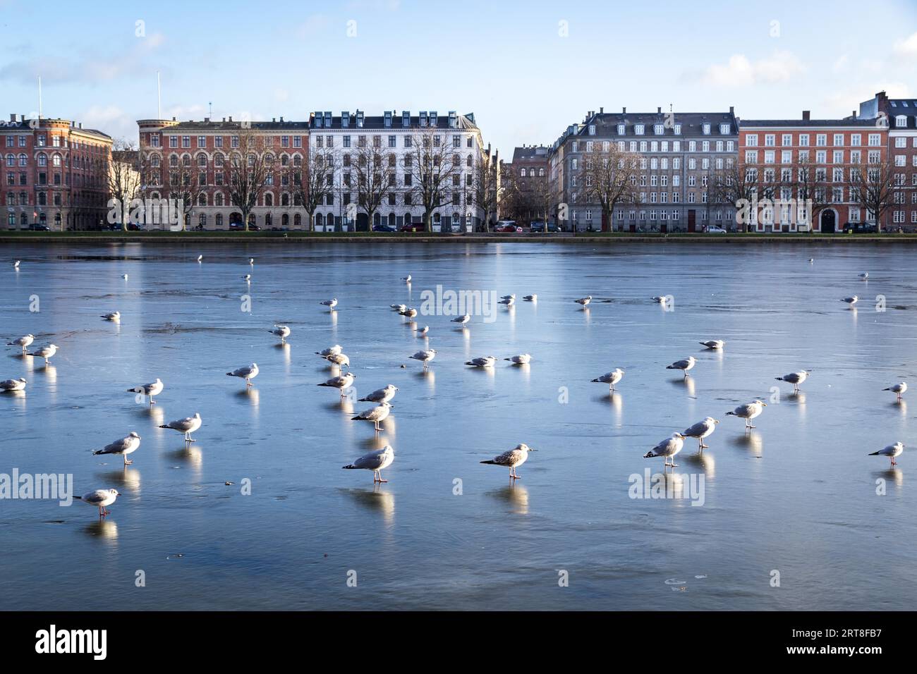 Kopenhagen, Dänemark, 12. Januar 2017: Blick über den gefrorenen Peblinge-See. Die Seen in Kopenhagen, Dänemark, sind eine Reihe von drei rechteckigen Seen Stockfoto