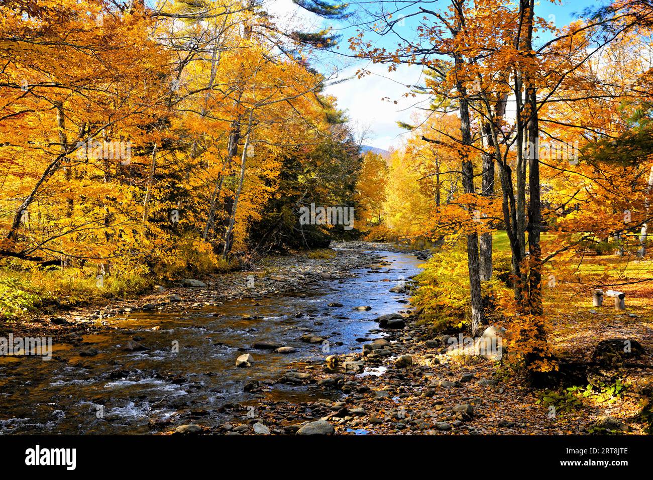 Schöne Herbstfarben entlang eines Flusses in der Nähe von Stowe, Vermont, USA Stockfoto