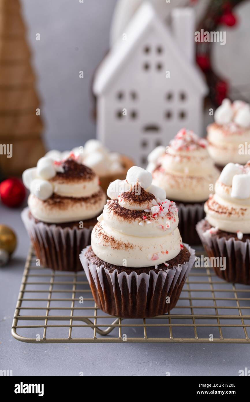 Heiße Schokoladen-Cupcakes mit Mini-Marshmallows, Pfefferminzbonbons und mit Kakao bestäubt Stockfoto