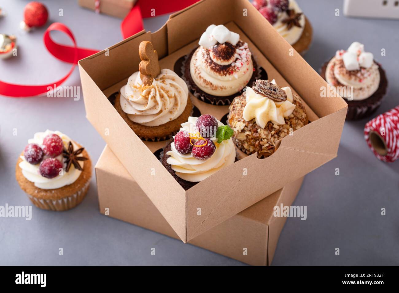 Verschiedene Weihnachts-Cupcakes in einer Geschenkbox mit Lebkuchen, Cranberry, Pekannüssen und heißer Schokolade Stockfoto
