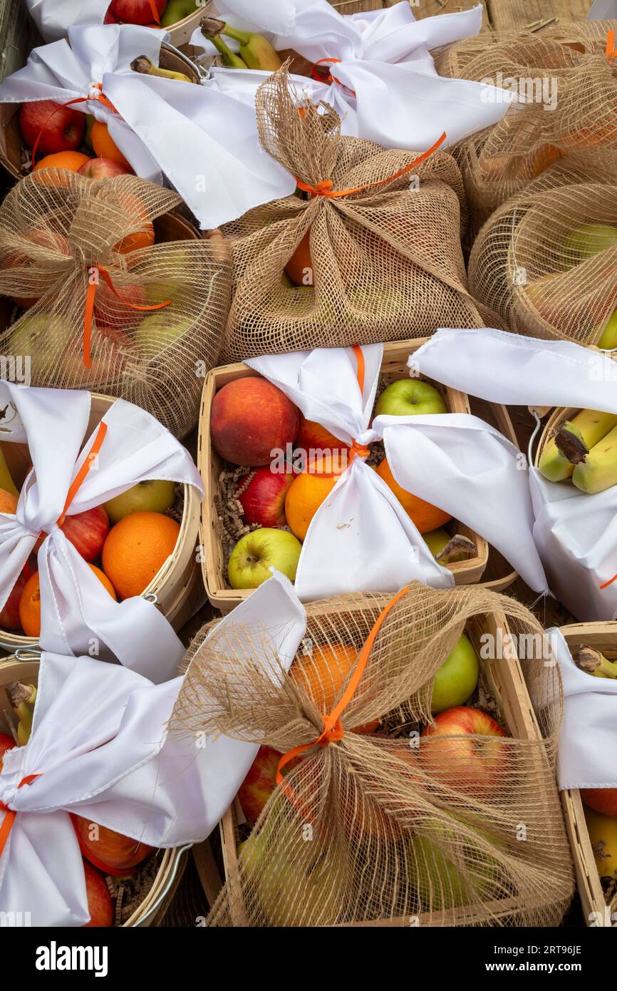 Detroit, Michigan - das Detroit Health Department hielt eine gut besuchte Blockparty ab, die gesunde Lebensberatung, Impfstoffe, Gesundheitsscreening, A bot Stockfoto