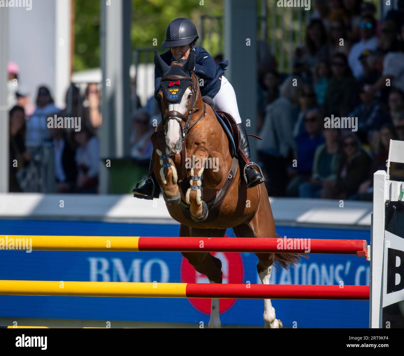 Calgary, Alberta, Kanada, 9. September 2023. Amanda Landeblad (SWE) reitet für Killy, The Masters, Firuce Meadows - BMO Nations Cup, 1. Runde Stockfoto