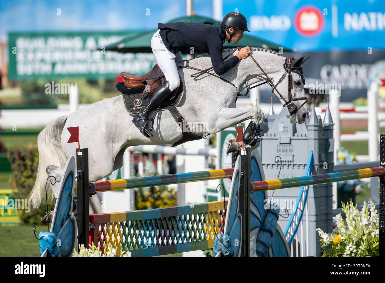 Calgary, Alberta, Kanada, 8. September 2023. Eugenio Garza Perez (MEX) Riding Contago, The Masters, Fichte Wiesen - Stockfoto