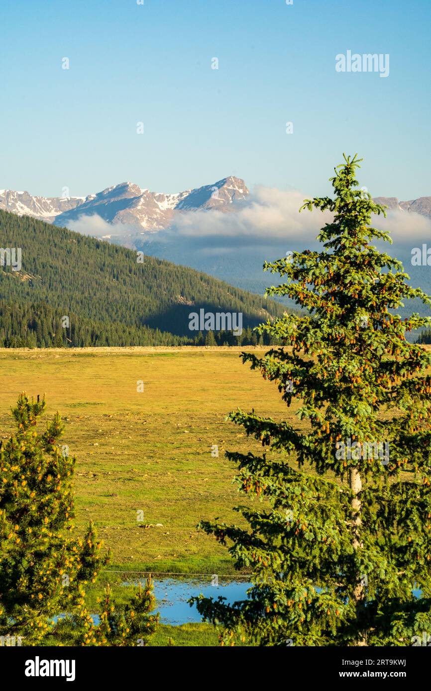 Vally vista mit Blick auf Grasland und zerklüfteten Rocky Mountains im Hintergrund Stockfoto