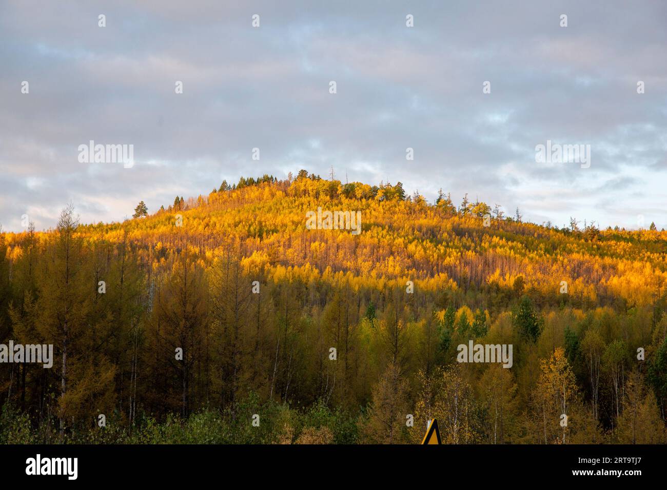 MOHE, CHINA 12. SEPTEMBER 2023 Foto aufgenommen am 12. SEPTEMBER