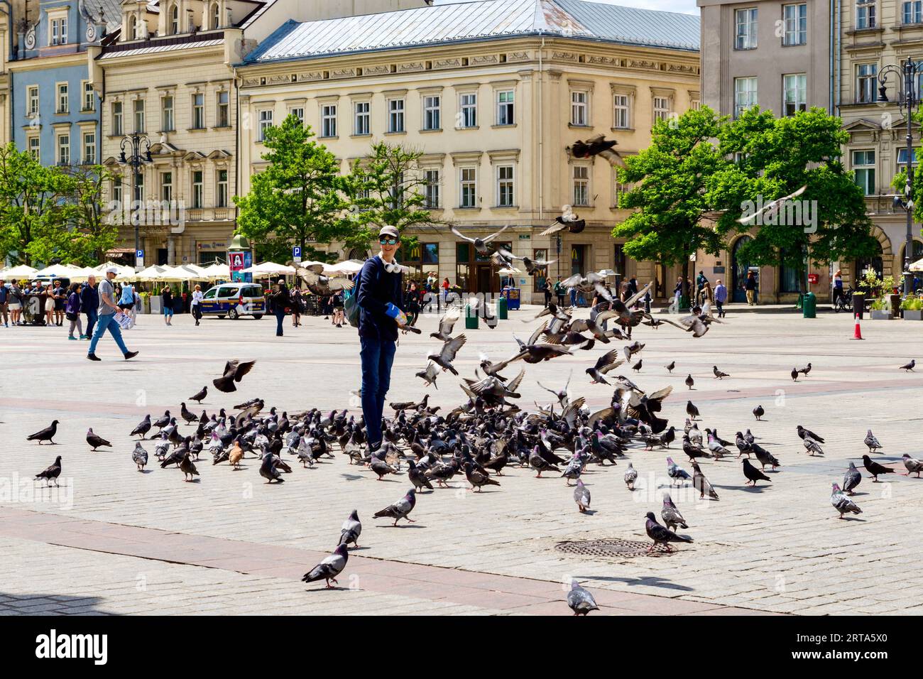 Krakau.Polen - 12. Juni. 2023: Es gibt immer viele Tauben auf dem Hauptplatz der Stadt. Stockfoto