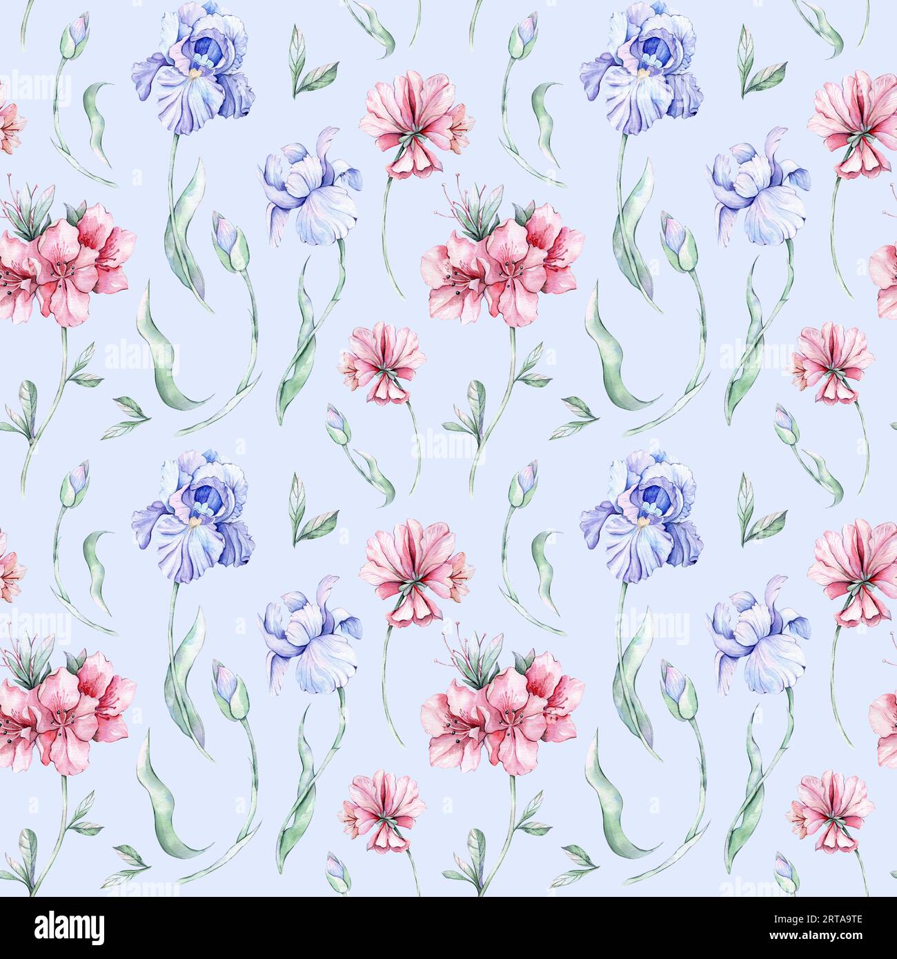Nahtloses Muster mit Blumen. Aquarellzeichnung. Iris Stockfoto