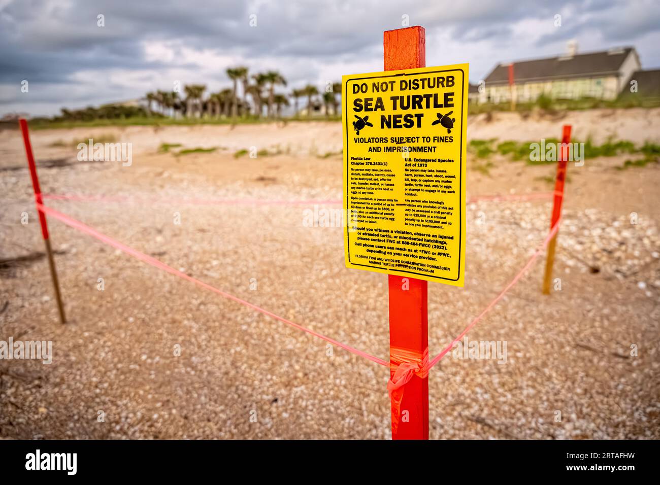 Schild und Markierungen zum Schutz von Meeresschildkrötennestern entlang der Küste am Ponte Vedra Beach, Florida, nördlich von St. Augustine. (USA) Stockfoto