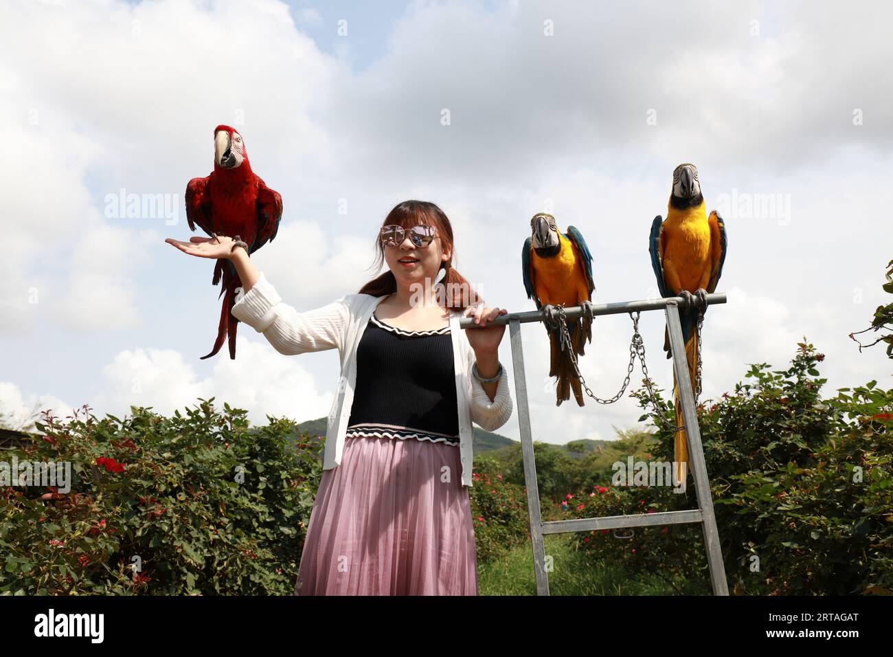 Sanya City, China - 1. April 2019: Ein Mädchen steht in engem Kontakt mit einem Ara im Park, Sanya City, Provinz Hainan, China Stockfoto