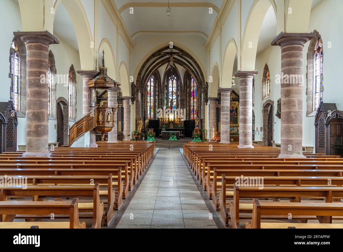 Die Kirche Mariä Himmelfahrt oder Notre-Dame de l'Assomption in Bergheim, Elsass, Frankreich | Kirche Notre-Dame de l'Assomption in Bergheim, Elsass, Stockfoto