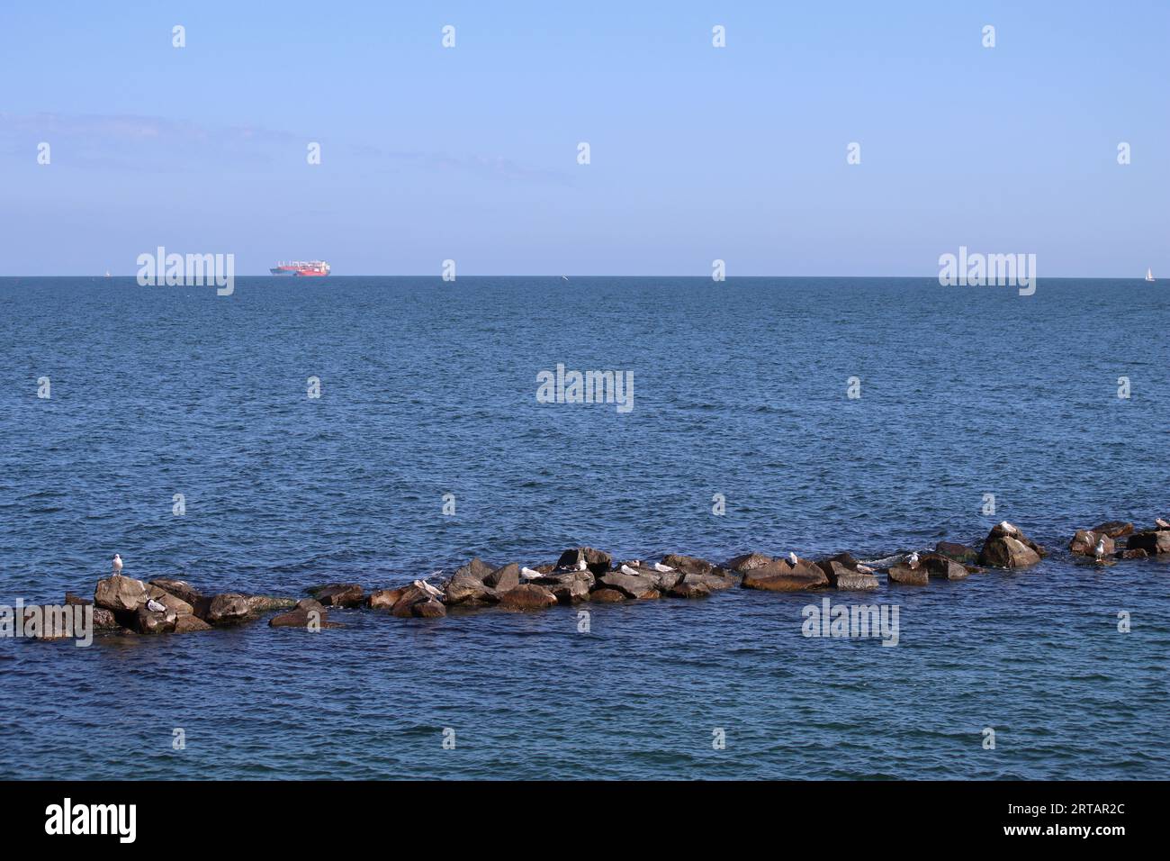 Möwen auf Felsen am Pier von Sellin auf der Insel Rügen Stockfoto