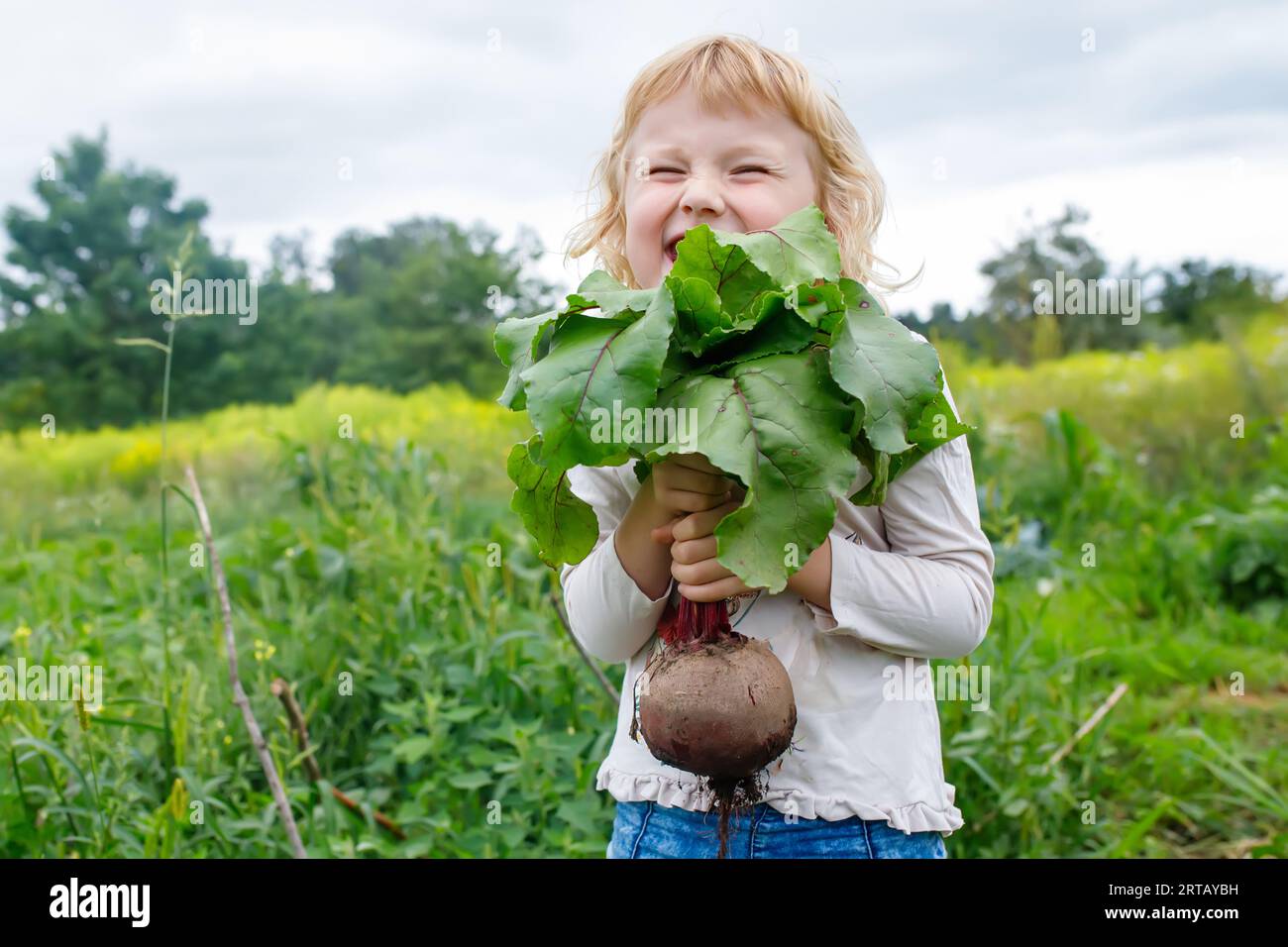 Der niedliche kleine Farmer zeigt ihre lebendige Rote-Bete-Ernte aus dem Garten Stockfoto