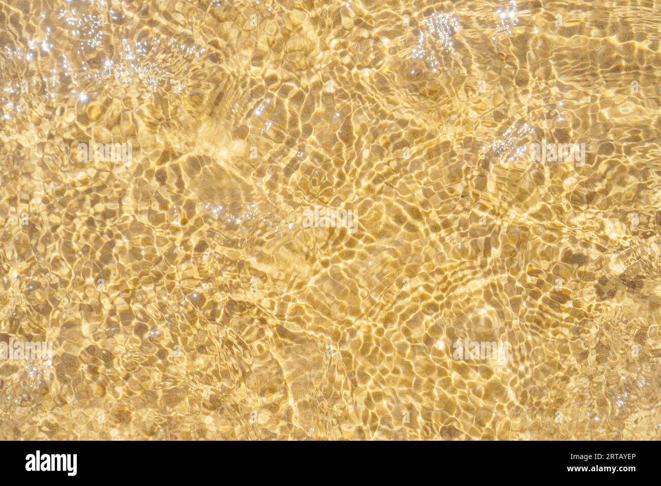 Blick von oben auf das transparente, saubere Wasser des Meeres. Gelber Sand durch Wasser gesehen. Sonnenstrahlen reflektieren auf Wellen. Sommer, Ferien, Meereslandschaft, Urlaub, Stockfoto