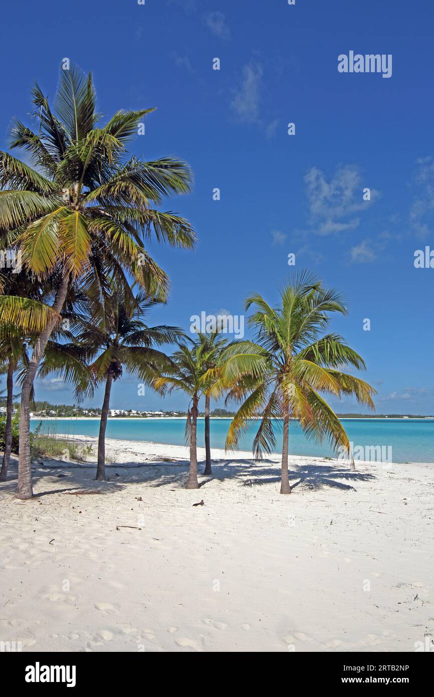 Sandpiper Beach, Treasure Cay, Great Abaco, Bahamas Stockfoto