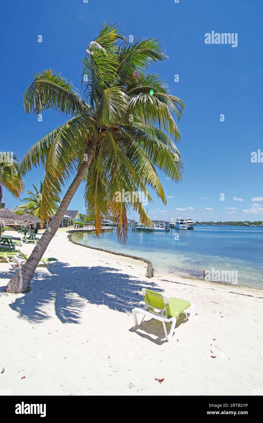 Green Turtle Club Resort und Marina, Green Turtle Cay, Abacos Inseln, Bahamas Stockfoto