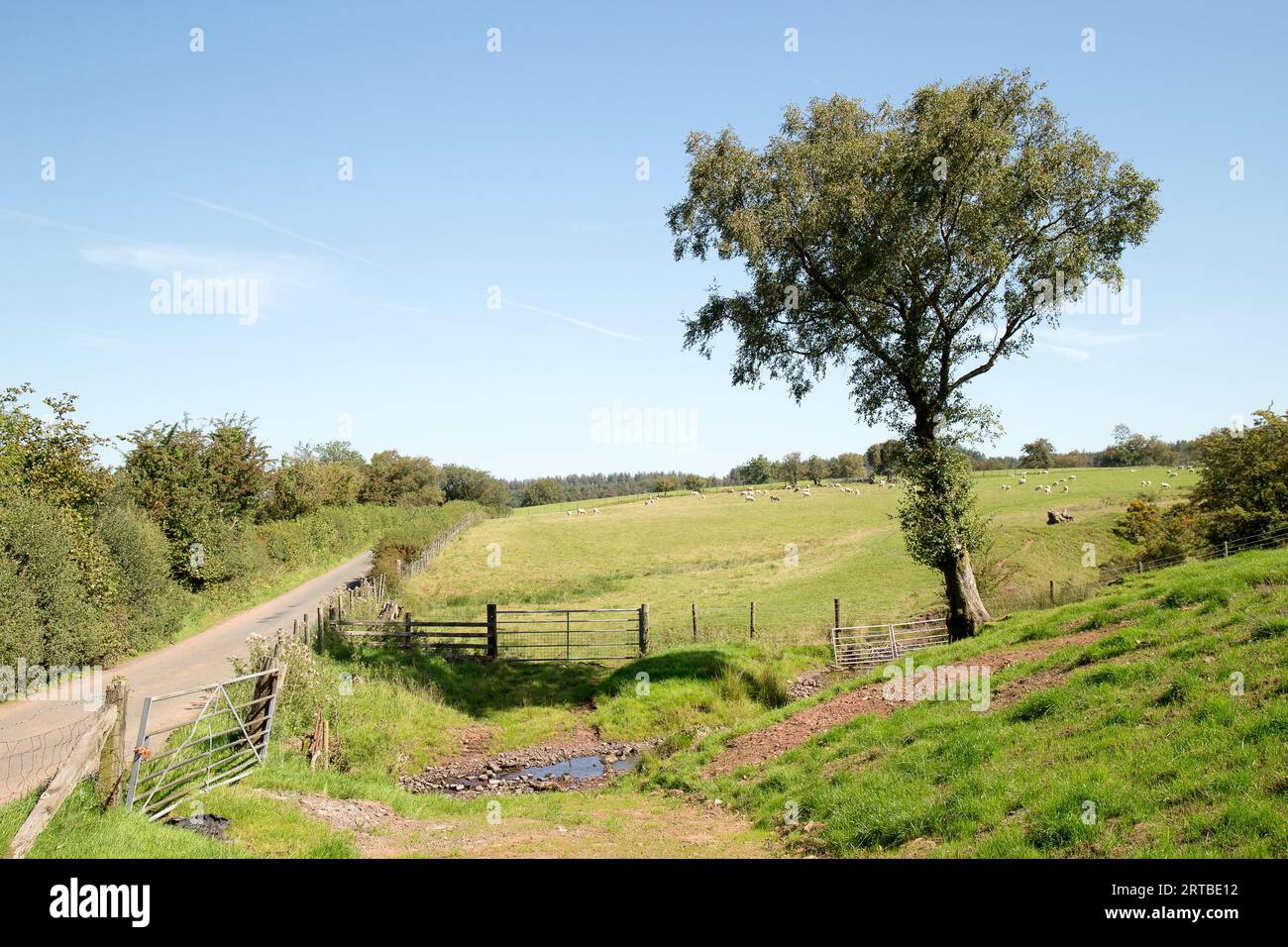 Heol Senni Bannau Brycheiniog Brecon Beacons Stockfoto