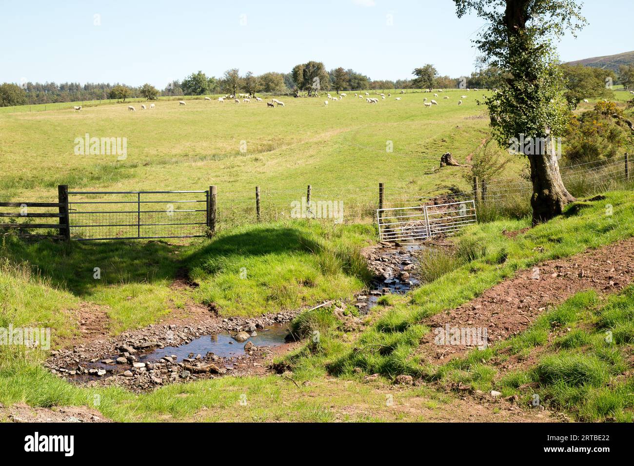 Heol Senni Bannau Brycheiniog Brecon Beacons Stockfoto