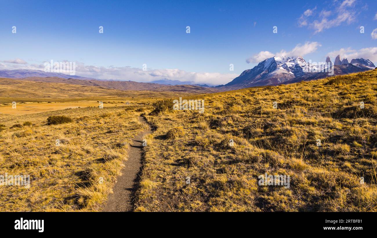Ein Wanderweg durch Steppe im Norden der Torres del Paine Bergkette, Torres del Paine Nationalpark, Chile, Patagonien, Südamerika Stockfoto