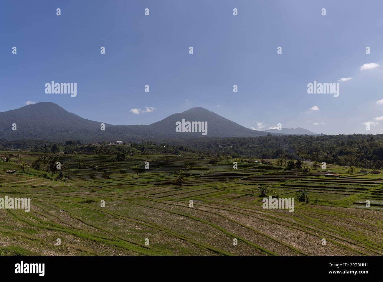 Atemberaubende Landschaften der UNESCO-Reisterrassen in Jatiluwih, Bali, Indonesien. Es zeigt das Subak-System für die Reisfelder von Bali. Stockfoto