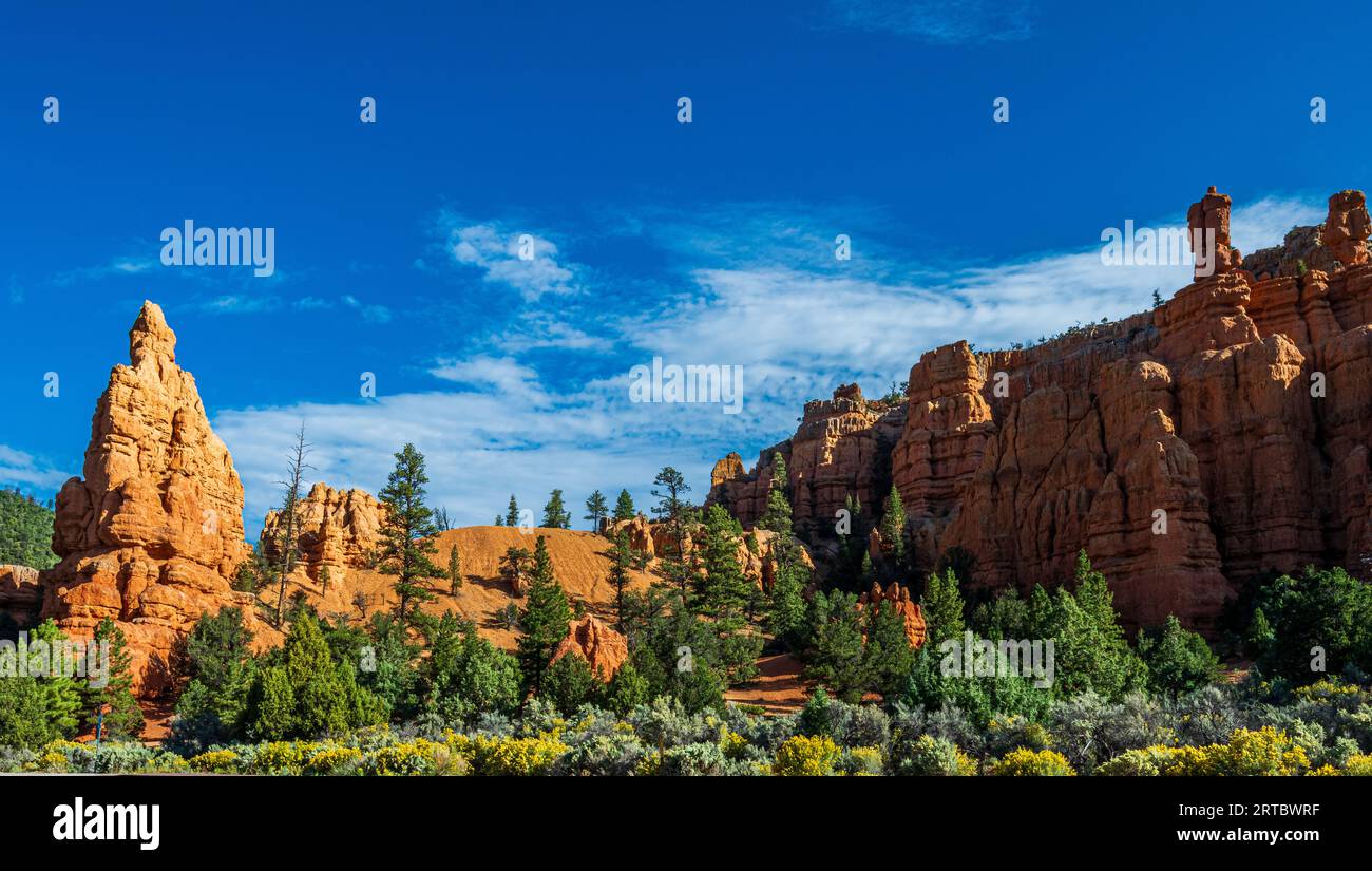 Red Rocks, Blue Sky, Green Trees und gelbe Blumen im Red Canyon Utah Stockfoto