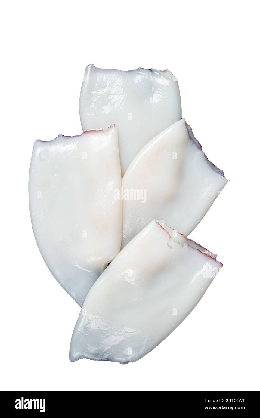 Roher Tintenfisch oder Calamari-Röhrchen auf einem Küchentisch. Hochwertiges Isolat, weißer Hintergrund Stockfoto
