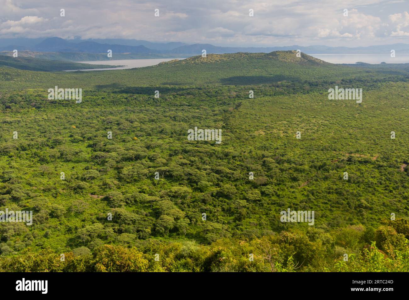 Luftaufnahme des Nechisar-Nationalparks mit dem Chamo-See, Äthiopien Stockfoto