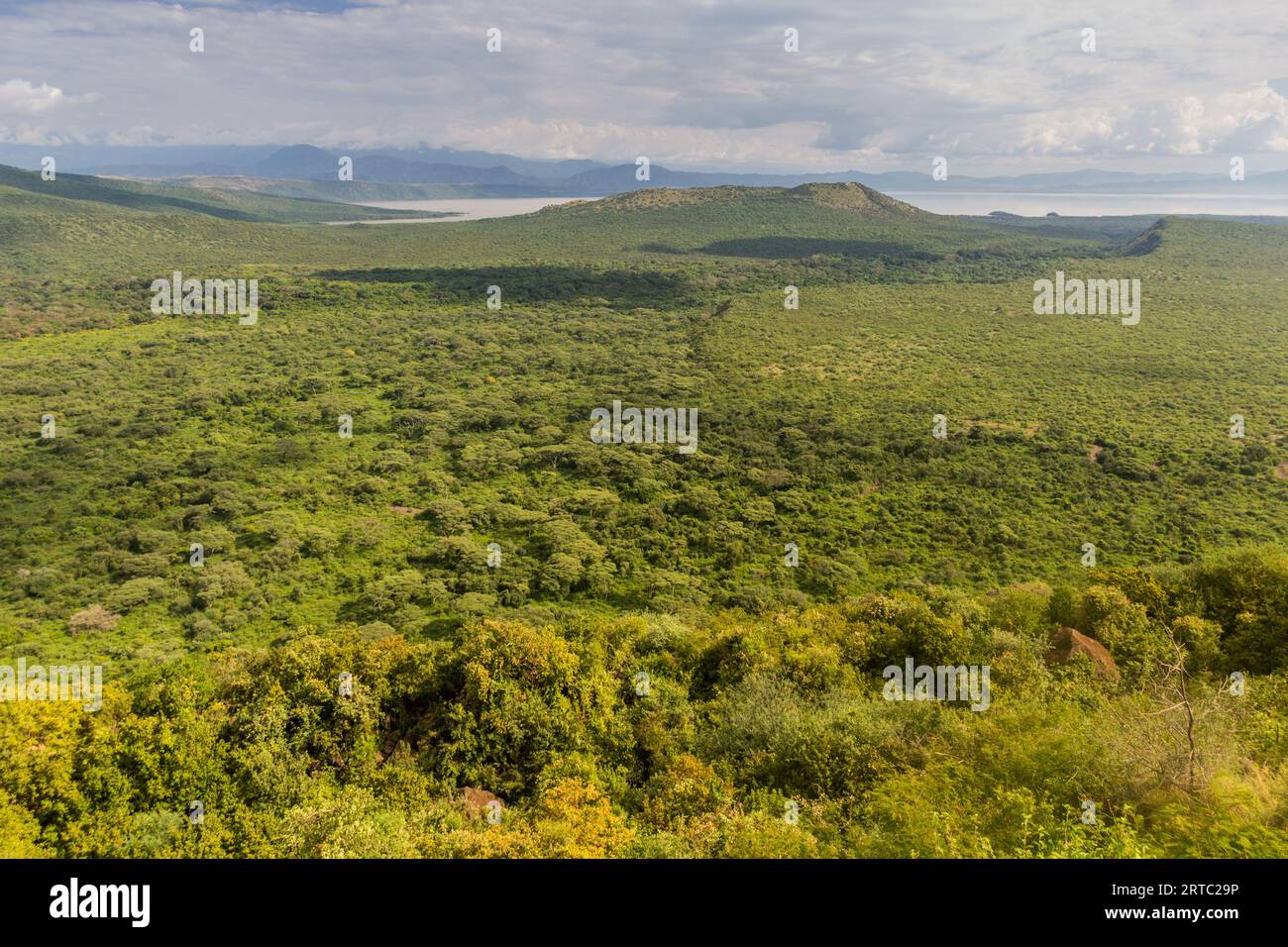 Luftaufnahme des Nechisar-Nationalparks mit dem Chamo-See, Äthiopien Stockfoto