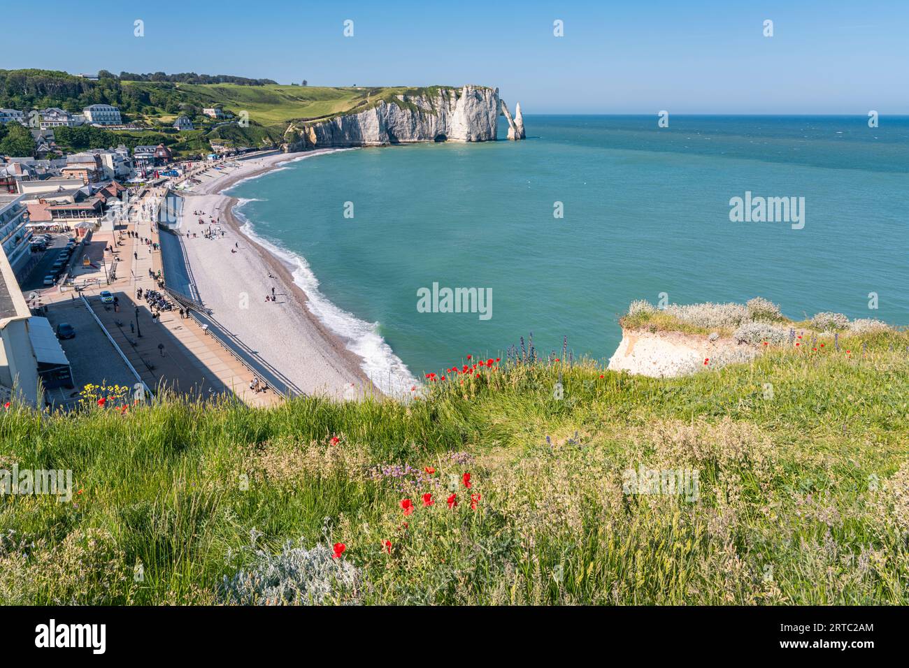 Blick auf die Etretat-Kreidefelsen mit Wildblumen im Vordergrund Stockfoto